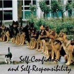 Self-Confidence & Self-Responsibility